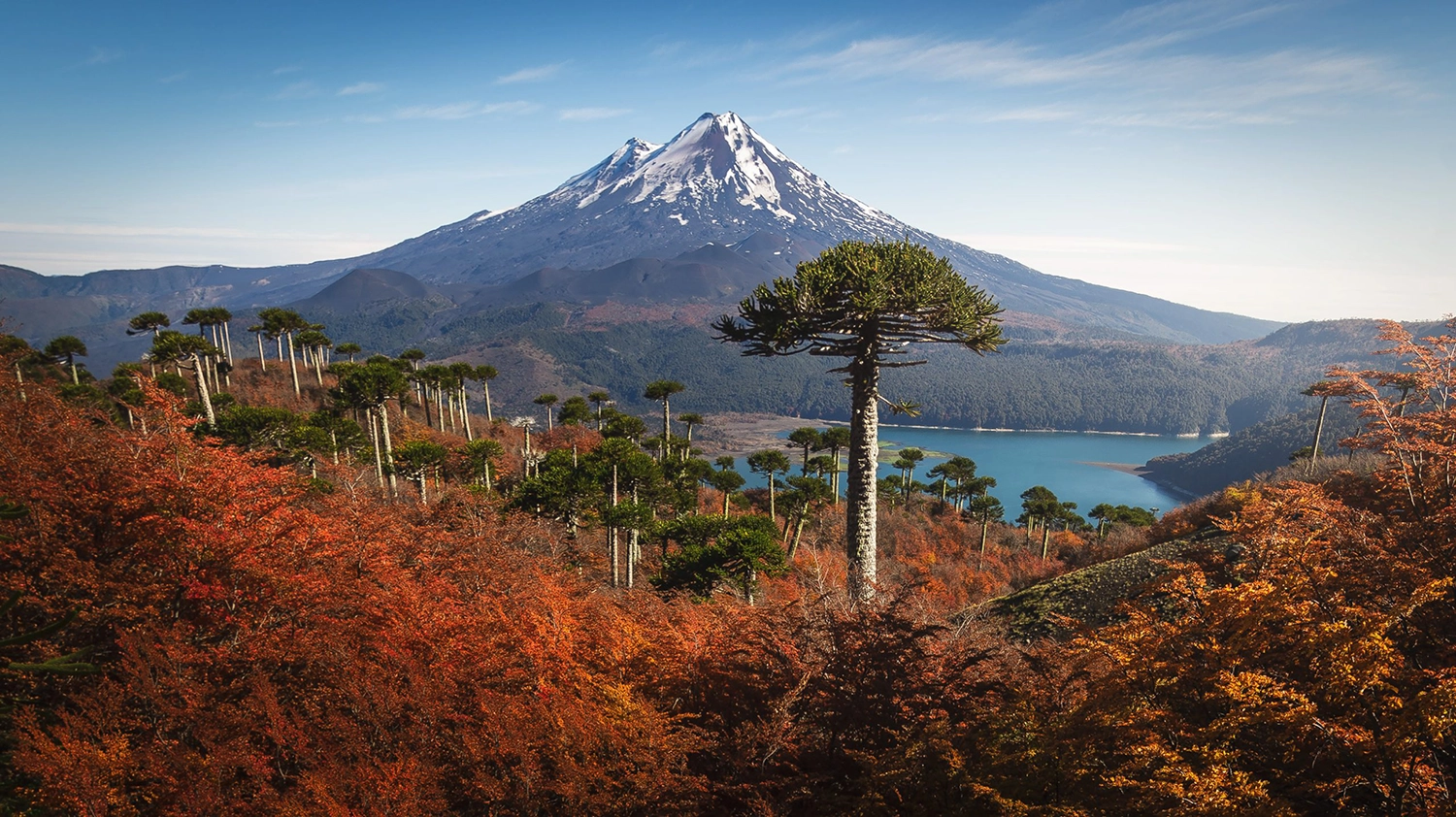 Snow-capped mountain rising above a vibrant autumn forest with a calm blue lake in the distance and clear sky.