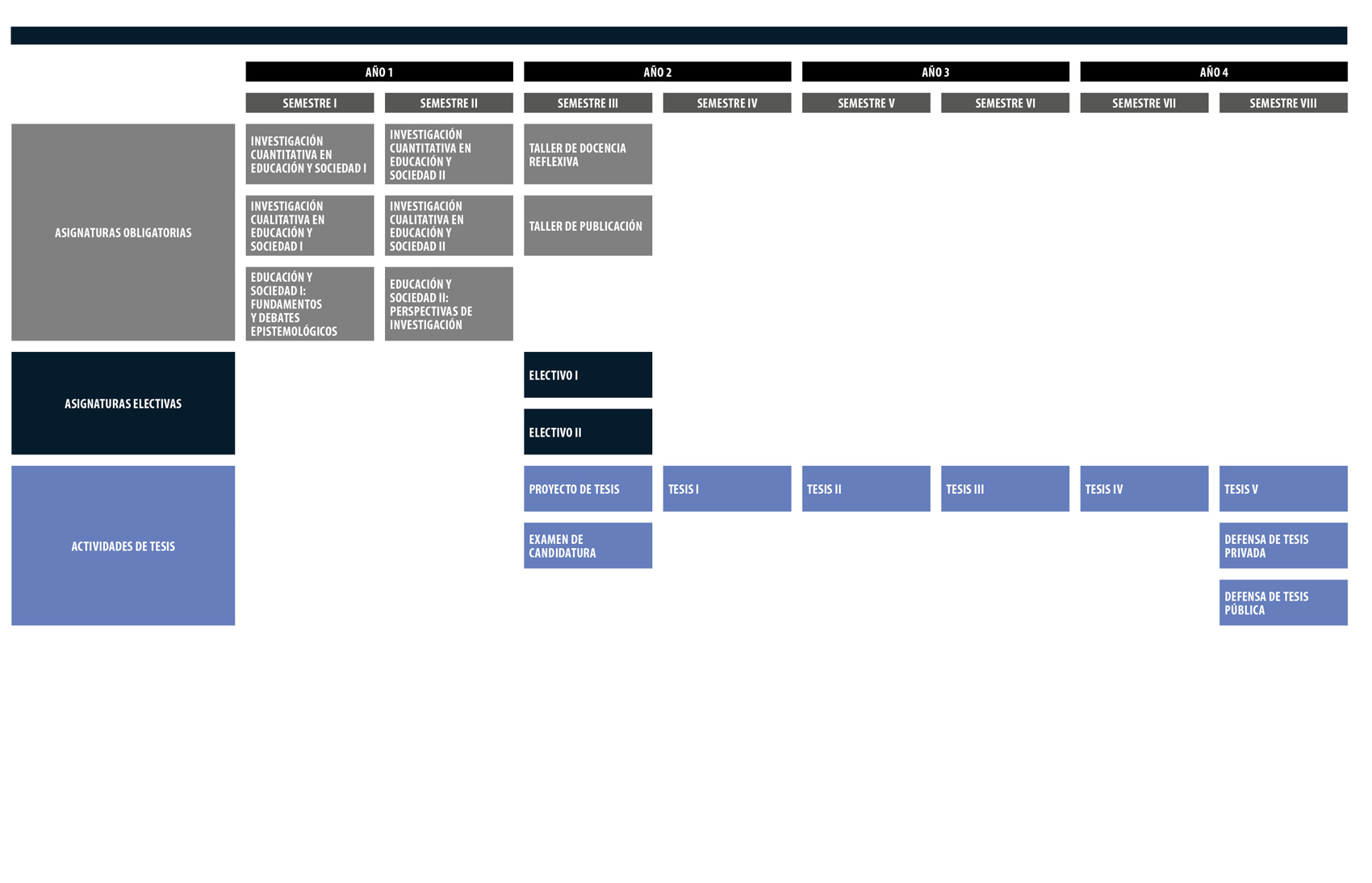 Curriculum map showing obligatory courses, electives, and thesis activities across years and semesters (Año 1–4, Semestres I–VIII).